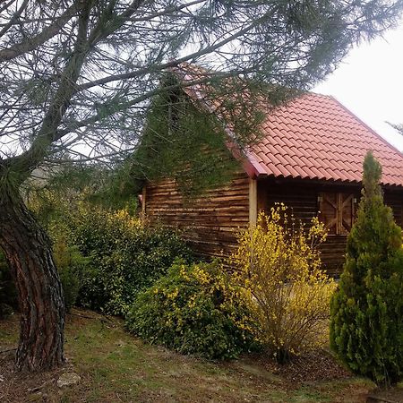 El Muerdago De Canada Guest House Cañada del Hoyo Exterior foto
