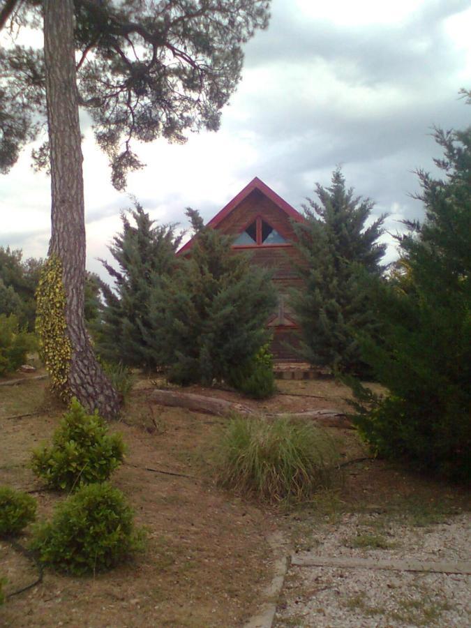 El Muerdago De Canada Guest House Cañada del Hoyo Exterior foto